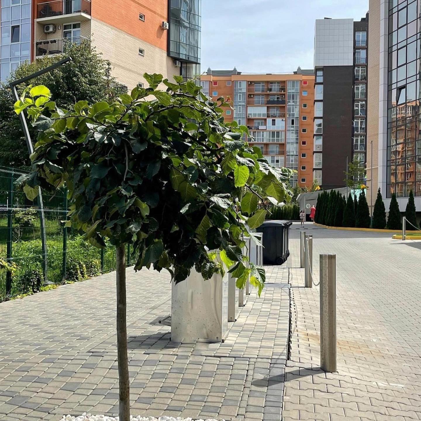 Vodogray Luxury Apartments: Elite Gated Complex with Underground Parking Chernivtsi Exterior photo