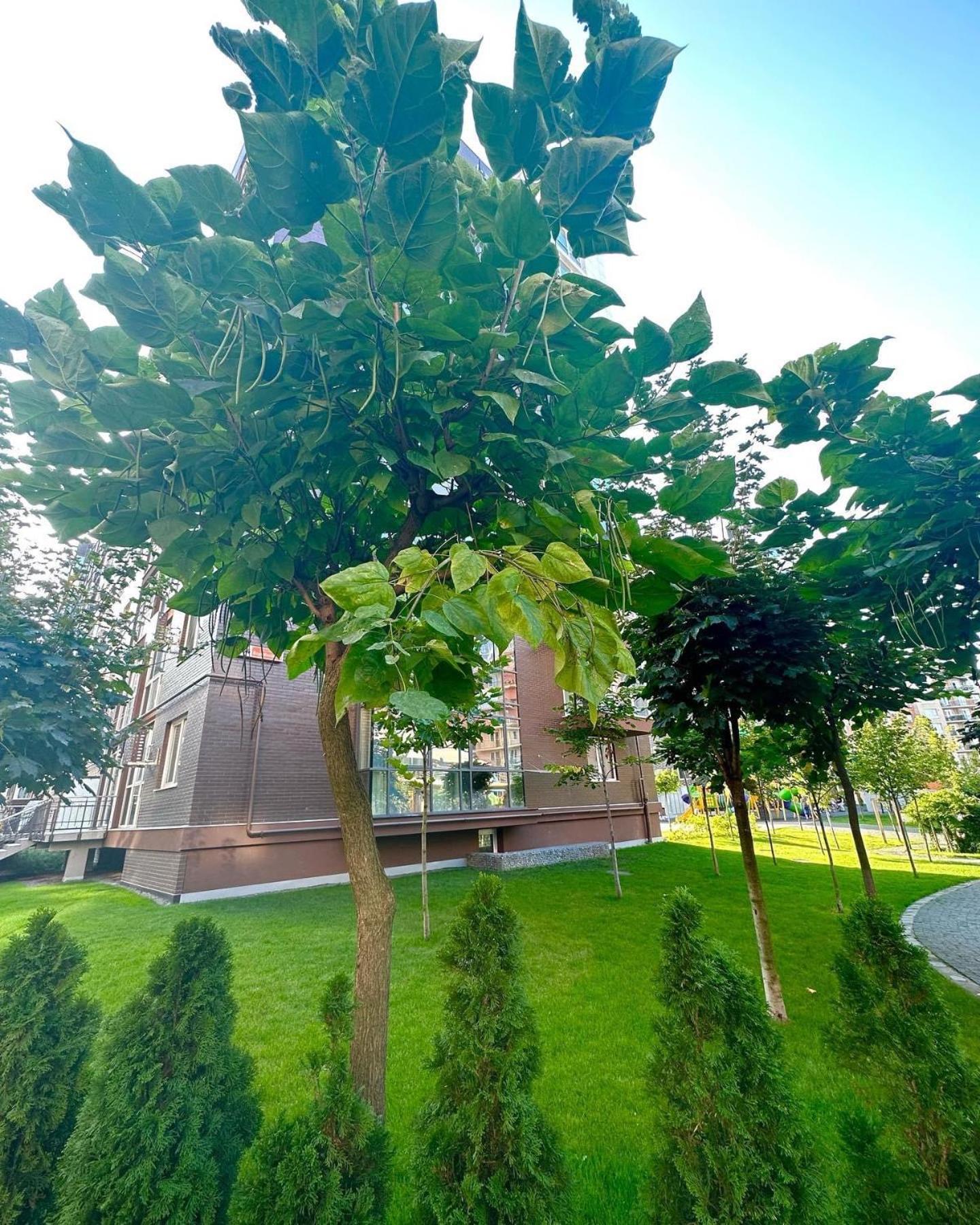 Vodogray Luxury Apartments: Elite Gated Complex with Underground Parking Chernivtsi Exterior photo