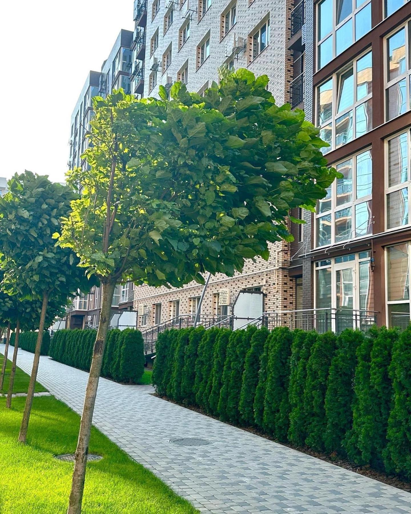 Vodogray Luxury Apartments: Elite Gated Complex with Underground Parking Chernivtsi Exterior photo